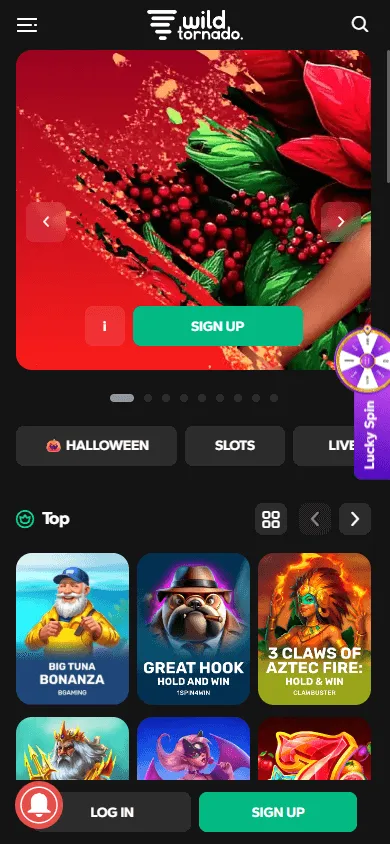 WildTornado Casino home page on a mobile device